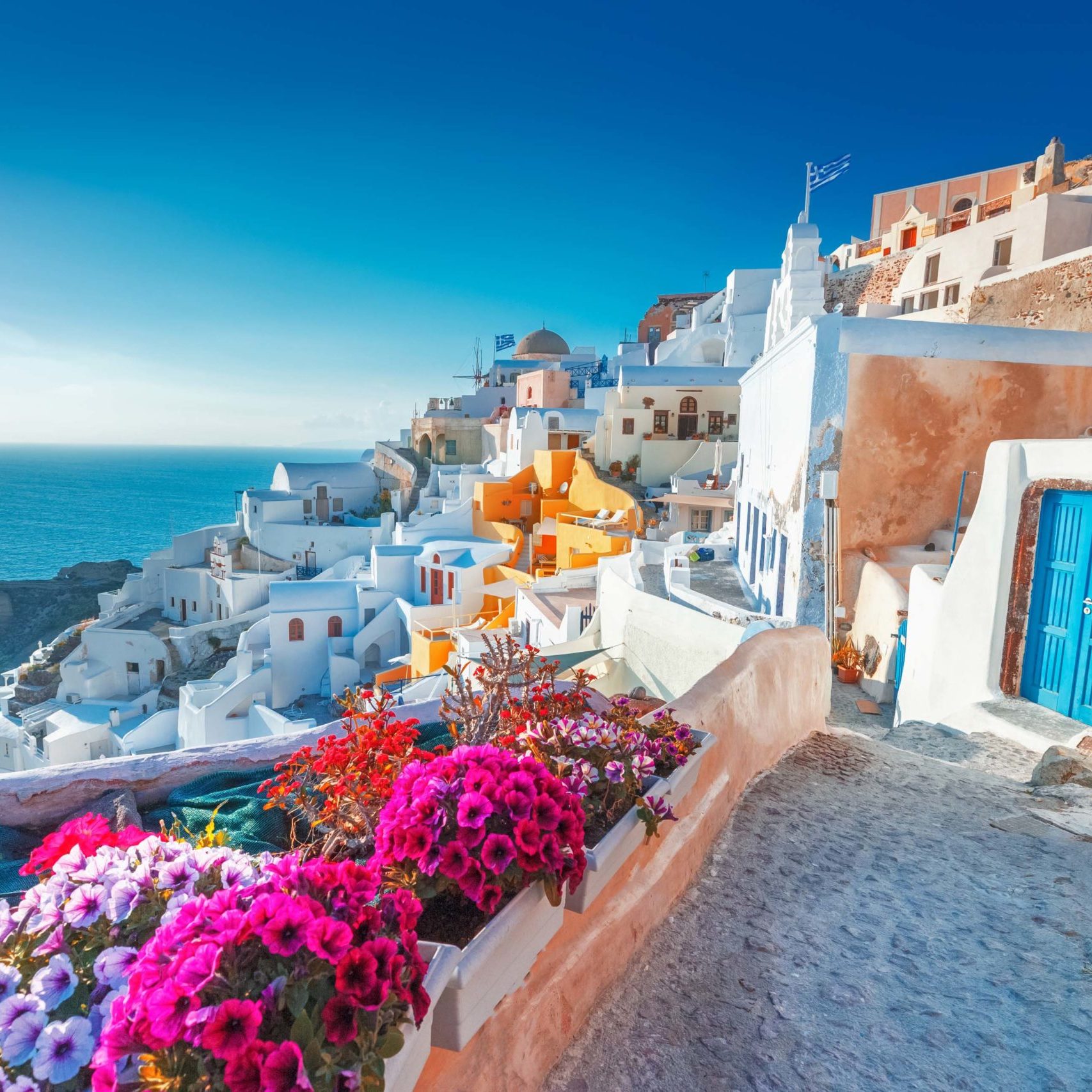 Santorini, Greece. Picturesq view of traditional cycladic Santorini houses on small street with flowers in foreground. Location: Oia village, Santorini, Greece. Vacations background.