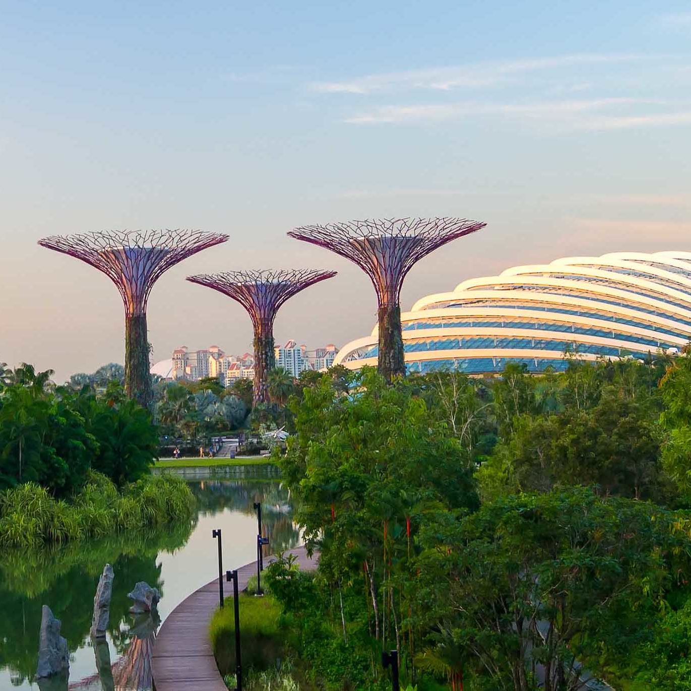 Singapore City, Singapore - June 23, 2014: Supertree Grove in the Garden by the Bay in Singapore.